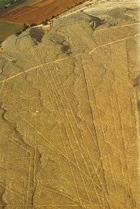 Linien im Ingeniotal neben bereits
                  landwirtschaftlich bearbeitetem Boden, wo die Linien
                  bereits zerst�rt sind