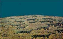 Lama-Geoglyphen bei Iquique (01), heute
                          Nord-Chile.