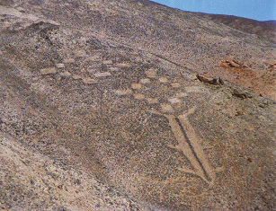Geoglyphen am
                                        "Bemalten Berg"
                                        ("Cerro Pintado") bei
                                        Iquique, Trapeze aus Quadraten
                                        und ein Zepter (Koordinaten:
                                        Breite -20.622337, L�nge
                                        -69.669017)