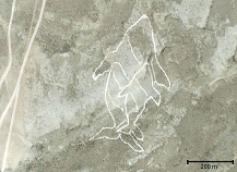 Wal mit Walbaby, Geoglyph am Ufer der
                              Lagune San Ignacio im s�dlichen
                              Niederkalifornien ("Baja
                              California") in Mexiko (Koordinaten:
                              Breite 26.833338, L�nge -113.13975)