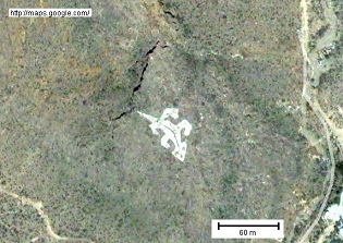 Gleich daneben, fast unscheinbar neben
                            dem gigantischen Pferd, kann man noch einen
                            Echsen-Geoglyphen beobachten