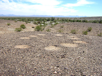Geoglyph im Mule Canyon in Mule Tank, 15 Meilen
                  westlich von Blythe, S�d-Kalifornien