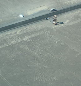 Der Baum als Geoglyph in der Ebene von
                            Nasca