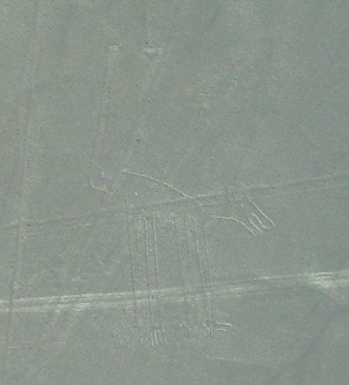 Der Hund als Geoglyph in der
                          Ebene von Nasca