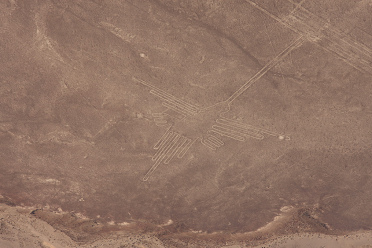 El colibr� real, se ve en la
                                ampliaci�n que faltan l�neas en el mapa
                                del Instituto