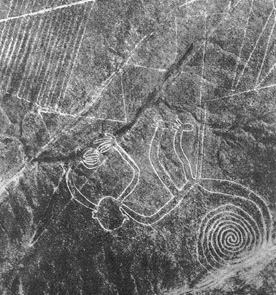 The
                      real geoglyph of the Monkey, one sees that the map
                      of the Institute does not at all correspond to the
                      real lines around the monkey, but there are
                      missing two zigzag lines on the map