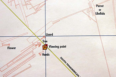 Nazca lines, detail of the map of the
                        Institute with the geoglyphs of the Flower,
                        Lizard, Tree, Hands, and Parrot or Dragonfly
                        (Span.: Libellula), and with the viewing tower