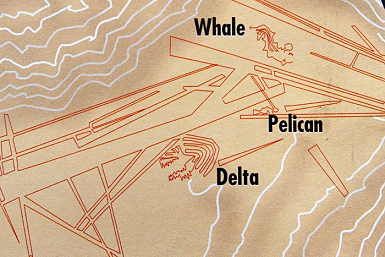 L�neas de Ingenio, detalle del mapa
                                del Instituto con ballena asesina (ingl.
                                whale, pero es un killer whale), delta y
                                pel�cano (valle de Ingenio)
