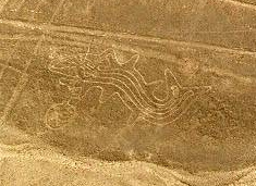 La ballena asesina en realidad, se
                                ve que en el mapa del instituto faltan
                                l�neas que tocan a la ballena asesina