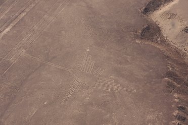 Il colibr� in realt�. Nell'ingrandimento si
                        pu� vedere chiaramente che mancano linee sulla
                        mappa dell'istituto.