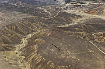 Il colibr� nel suo ambiente reale delle
                        valli