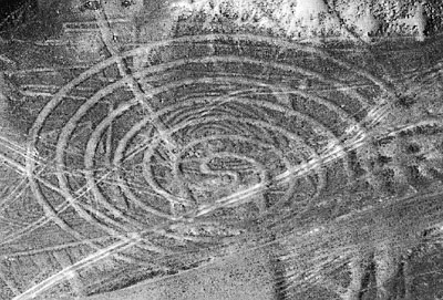 La
                        spirale in realt�, si pu� notare che nella mappa
                        dell'istituto mancano le linee rette che
                        attraversano la spirale