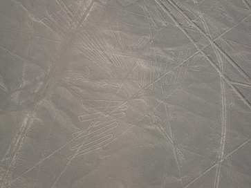 Il Condor nella realt�, si pu� notare che
                        sulla mappa dell'istituto mancano linee rette
                        che attraversano il Condor.