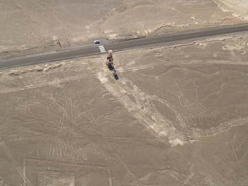 L'albero e le mani nella realt�, si pu�
                        notare che nella mappa dell'istituto mancano le
                        linee rette che attraversano l'albero e le
                        mani.