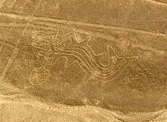 L'orca nella realt�, si pu� notare che le
                        linee rette che sfiorano l'orca mancano sulla
                        mappa dell'istituto