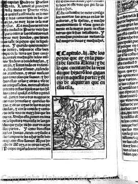 Pedro Cieza de Le�n, aqu� una imprenta sobre los
                  "indios", anot� algo sobre las l�neas de
                  Nasca en 1537 como primer europeo