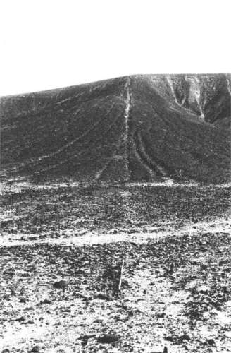 Unas l�neas subieron
                        directamente a los cerros