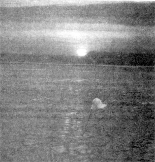 L�nea con solsticio (21 de diciembre) con
                          palo y sombrero de Mar�a Reiche. Poner palo y
                          sombrero fue uno se sus m�todos de su trabajo
                          de medir.