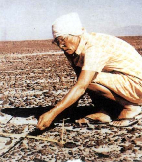 Mar�a Reiche apr. en
                        los a�os 1960s midiendo una l�nea. La foto fue
                        globalmente conocida y cambi� el conocimiento
                        del mundo [15]