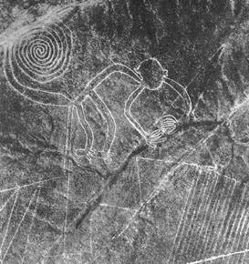 The geoglyph of the
                        monkey, the sight from above on the figure
                        cleaned by Mrs. Reiche. The monkey has nine
                        fingers and is surrounded by zigzag lines in
                        form of saw tooth zigzag lines and parallel
                        zigzag lines covering surfaces.