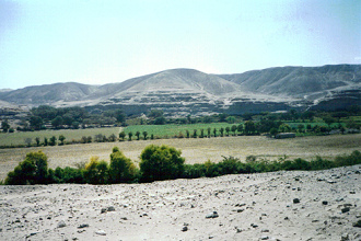 The fertile stripe
                        provoked by Nasca River - this river brings
                        fresh mud every year like Nile does in Egypt,
                        but this river is also a danger for huge floods
                        about all 500 years. Perhaps there was missing a
                        protection wall?