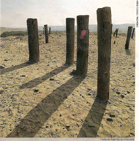 Estaquer�a (01): El "Templo del
                          escalonado" de Cahuachi cerca de Nasca
                          tiene una estaquer�a con 240 estacas de
                          huarango