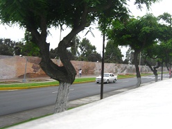 Papst-Alle (avenida Papal)