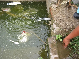 Viene agua limpia, pero en el bas�n el
                          agua es totalmente ensuciado