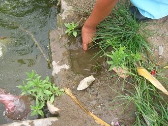 Der
                      Wasserhahn wird aufgedreht