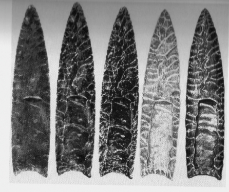 Cultura Clovis,
                          puntas en piedra