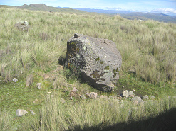 Un bloque de piedra en la paja andina