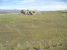 Un montn de piedras en el prado (01)