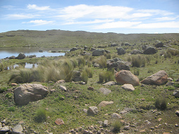 Campo de piedras cerca de la laguna