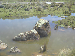 Piedras en la laguna