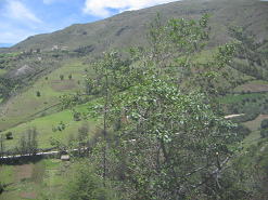 Kleines Haus, Strassenverlauf und Berghang
                        (01)