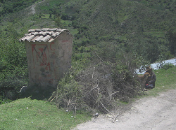 Brennholz und Mann mit Hund, 11:27 Uhr