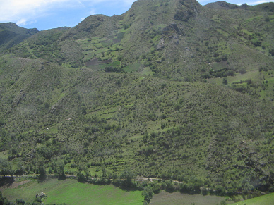 Talstrasse und Talhang