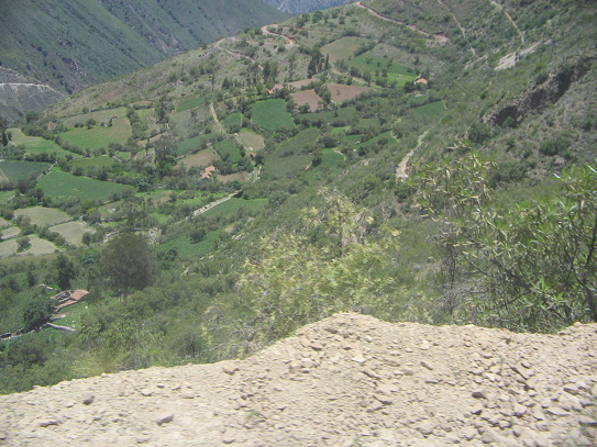 H�fe, Felder und Baumreihen