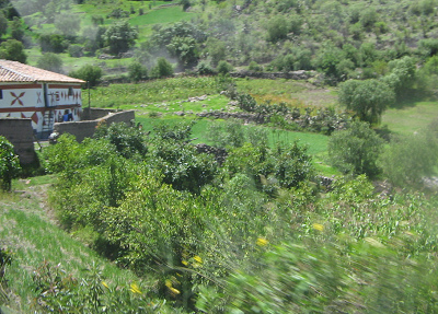 Hof mit Feldern mit Steinmauern