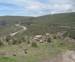 Serpentina
            al inicio de la bajada