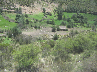 Weiden, Felder, B�ume und H�user