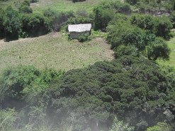 Otra casa
            con techo de ca�a con campo