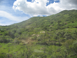 Berghang des Pampas-Tals