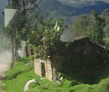 Haus mit Tuna-Kaktus (Opuntie)