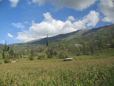 Weites Tal mit Maisfeld