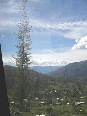 Baumgestalt vor Tal und Himmel