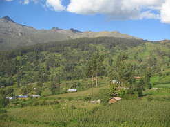 Felder, B�ume und Berge