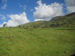 Weiden und Grasberge