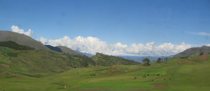 Tierherde mit Panorama zwischen
                                  Uripa und Talavera (02)