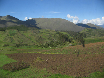 Brache Felder, B�ume und
                                        Grasberge